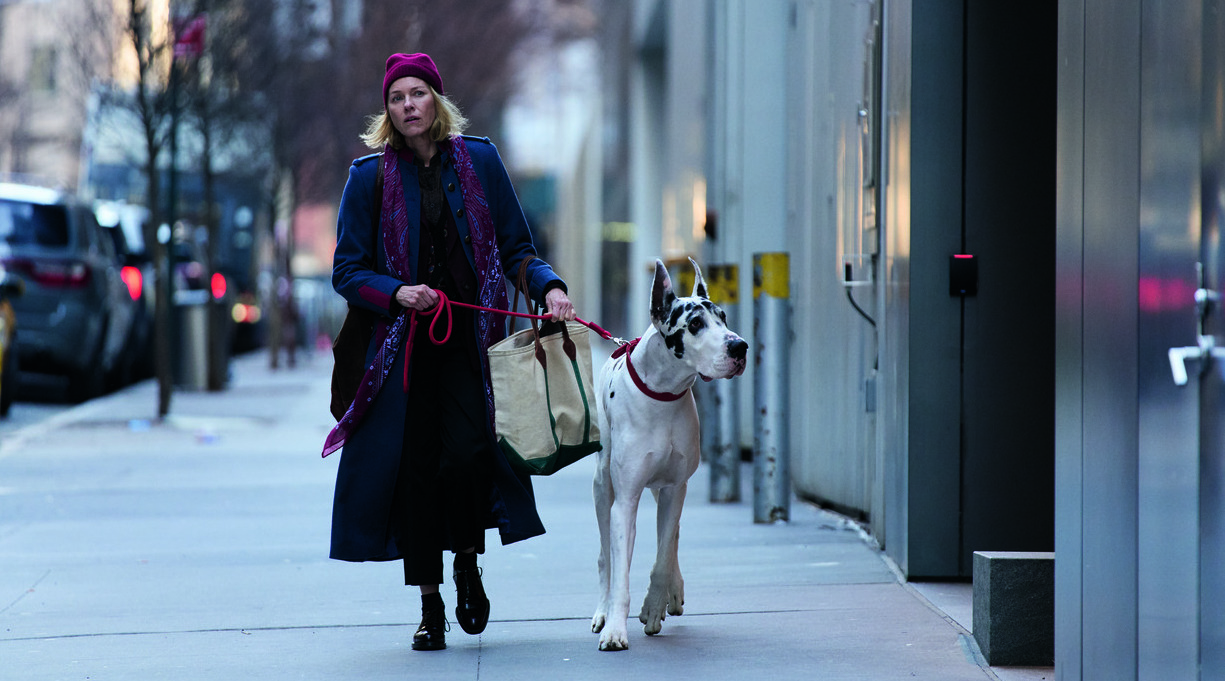 ‘The Friend’: Adaptation Has Bark but No Bite