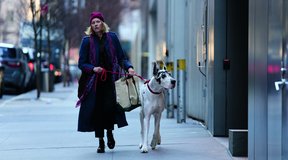 ‘The Friend’: Adaptation Has Bark but No Bite