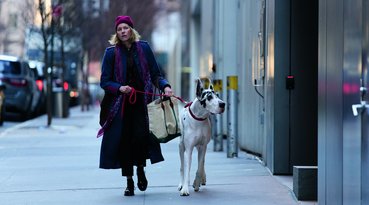 ‘The Friend’: Adaptation Has Bark but No Bite