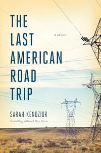 THE LAST AMERICAN ROAD TRIP