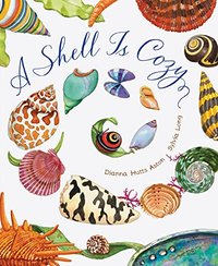 A SHELL IS COZY